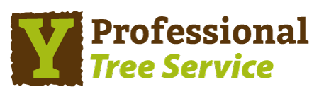 Y Professional Tree Service