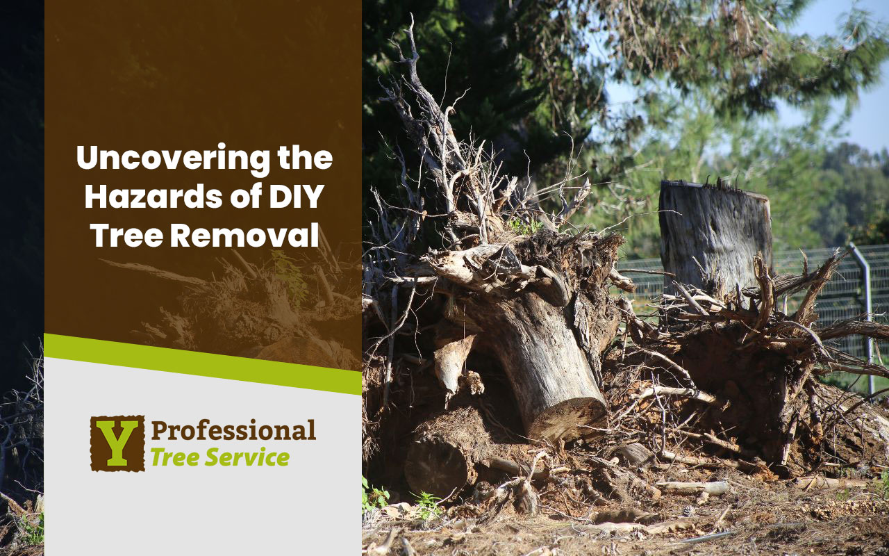 The attraction of saving money and feeling good about doing a tough job can make us ignore the risks of trying to remove a tree without professional help.