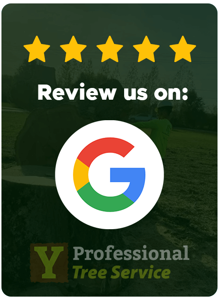 Review us on Google