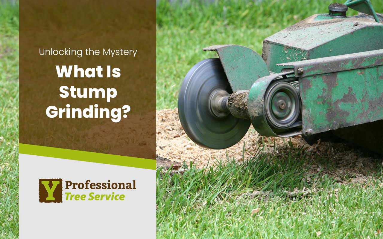 What Is Stump Grinding