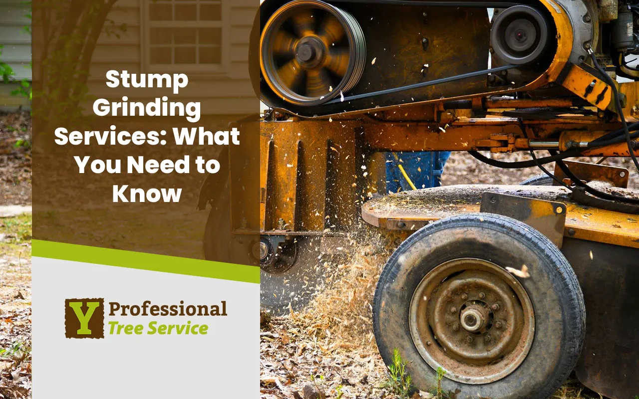 Stump grinder machine in action